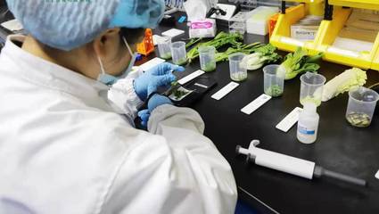 科技賦能食品安全,永輝加速建數字化生鮮工廠