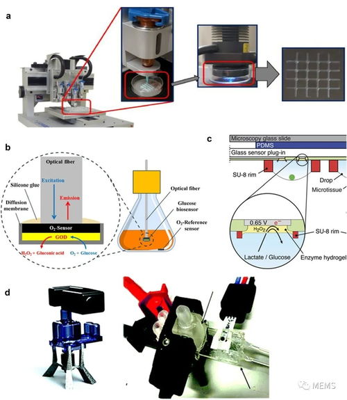用于細胞培養監測的傳感器研究進展