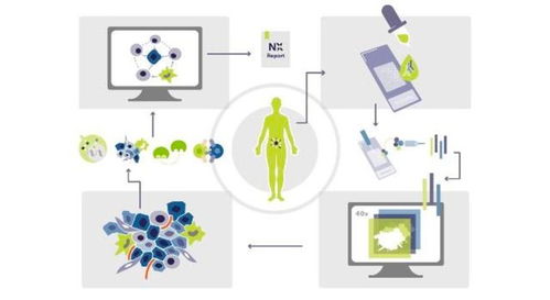 瑞士生物科技公司Navignostics 利用單細胞空間蛋白質(zhì)組學重塑腫瘤精準治療